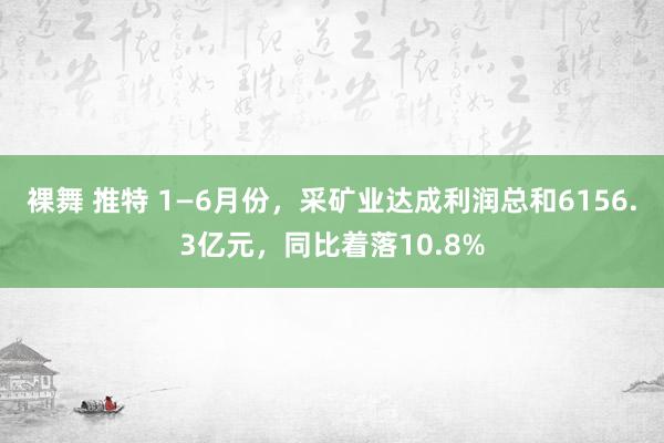 裸舞 推特 1—6月份，采矿业达成利润总和6156.3亿元，同比着落10.8%