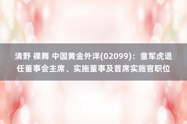 清野 裸舞 中国黄金外洋(02099)：童军虎退任董事会主席、实施董事及首席实施官职位