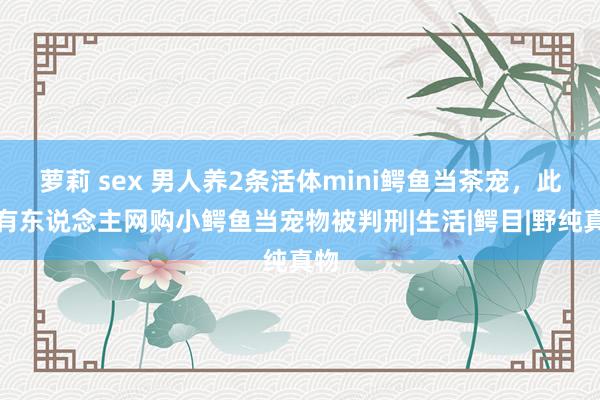 萝莉 sex 男人养2条活体mini鳄鱼当茶宠，此前有东说念主网购小鳄鱼当宠物被判刑|生活|鳄目|野纯真物