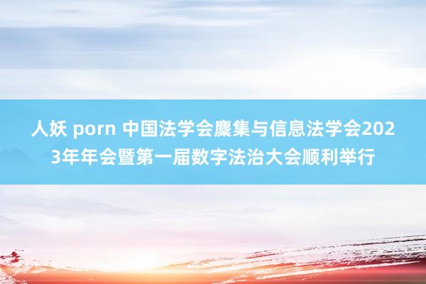 人妖 porn 中国法学会麇集与信息法学会2023年年会暨第一届数字法治大会顺利举行